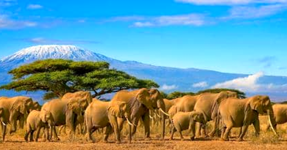 Strategic Branding, Investor & Diaspora Relations Management